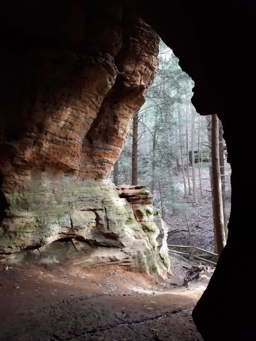 View from inside a cave, showcasing rocky walls and a glimpse of a forested area outside.
