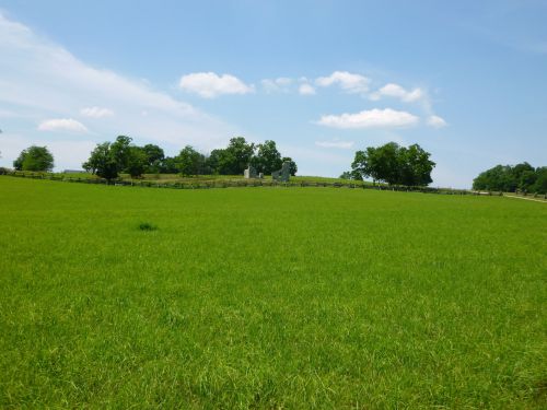 A lush green field under a clear blue sky, with trees and a distant hill in the background.