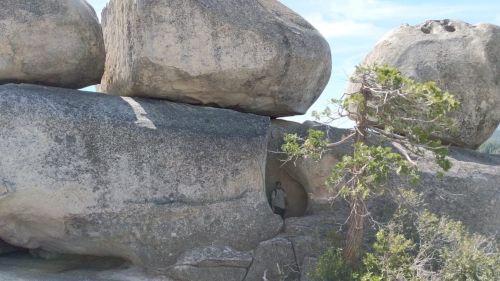 A person stands near large boulders and a small tree in a rocky landscape under a clear sky.