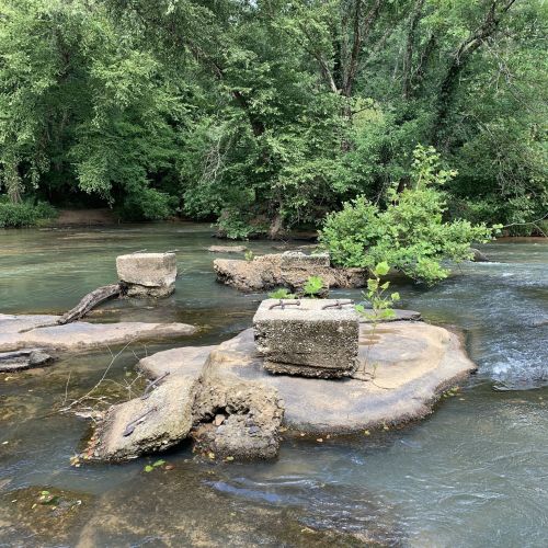 A serene river scene with rocky outcrops and greenery, featuring a small plant growing on a stone in the water.