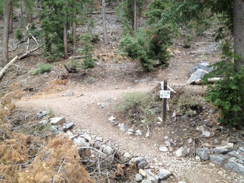 A dirt trail splits in a forest, marked by a sign indicating directions, surrounded by trees and rocky terrain.