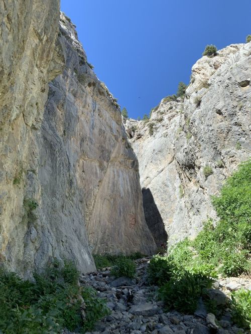 A narrow canyon with steep rock walls and greenery at the base, under a clear blue sky.