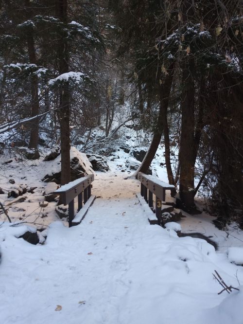 A snowy path leads to a wooden bridge surrounded by trees in a winter forest.