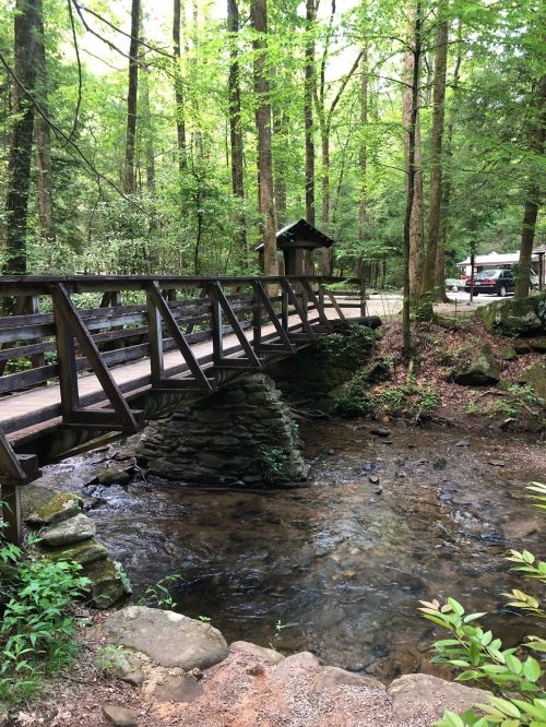 A wooden bridge spans a small stream in a lush green forest, with a road and parked vehicle visible in the background.