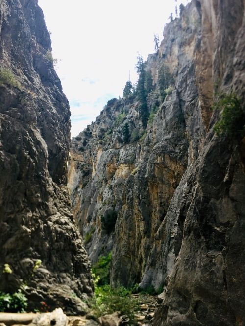 A narrow canyon with steep rocky walls and greenery at the base, under a bright sky.