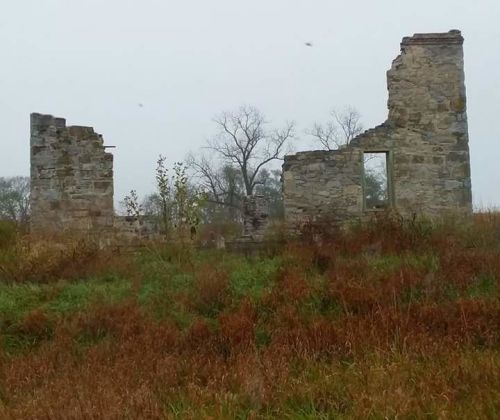 Ruins of a stone building surrounded by overgrown grass and trees on a foggy day.