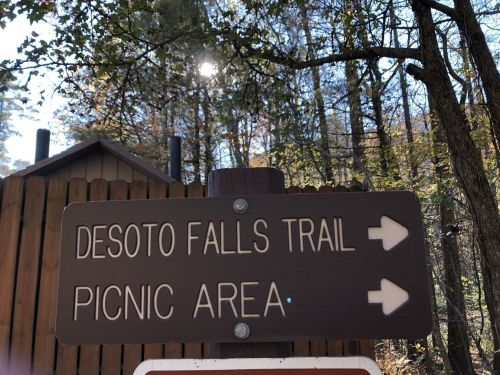 Signpost indicating directions to Desoto Falls Trail and Picnic Area, surrounded by trees in a wooded area.
