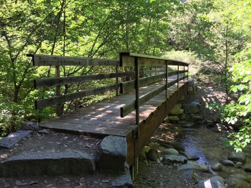 A wooden bridge spans a small stream, surrounded by lush green trees and foliage.