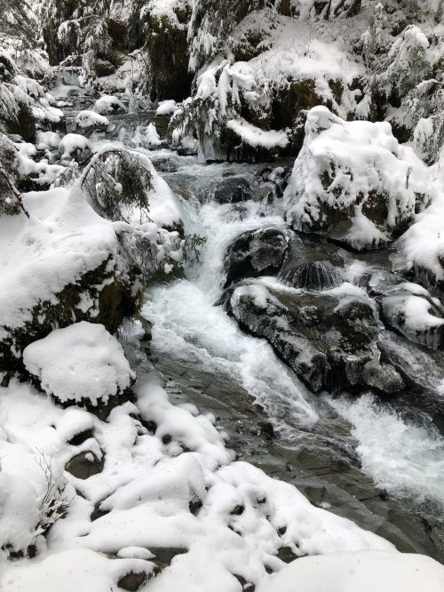 A snowy landscape featuring a flowing stream surrounded by rocks and snow-covered trees.