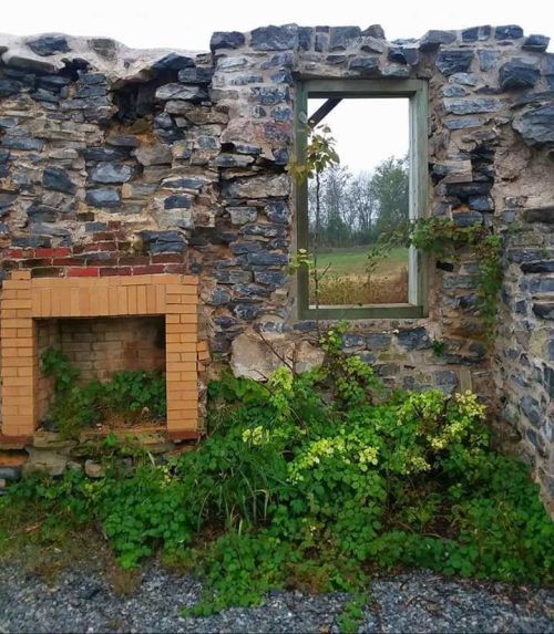 A weathered stone wall with a window frame and a brick fireplace, surrounded by overgrown greenery.