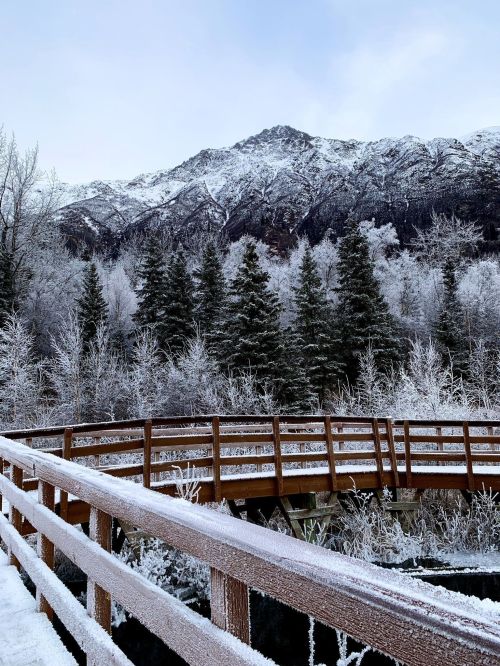 A snowy landscape featuring a wooden bridge, frosted trees, and a mountain in the background under a cloudy sky.