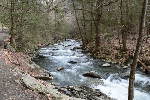 A serene stream flows through a wooded area, surrounded by rocks and bare trees, with fallen leaves on the ground.