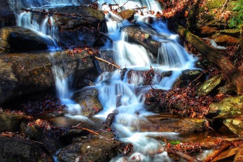 A serene waterfall cascades over rocks, surrounded by autumn leaves and lush greenery.