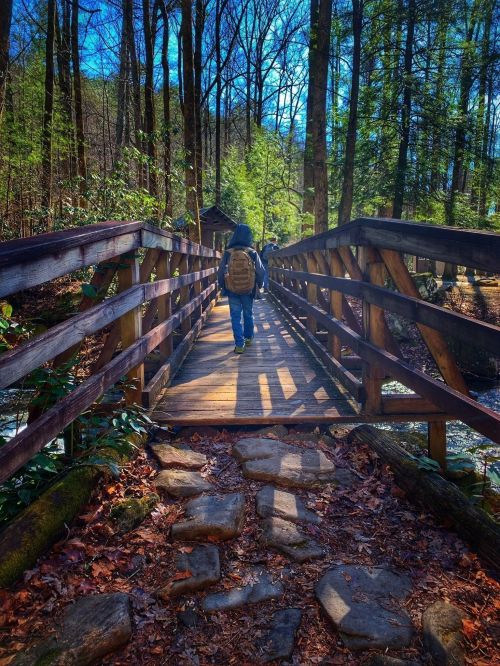 A person walks across a wooden bridge in a forest, surrounded by trees and sunlight filtering through the leaves.