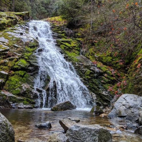 A serene waterfall cascades over moss-covered rocks into a calm pool, surrounded by lush greenery and autumn leaves.