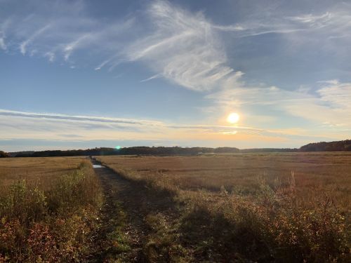 A serene landscape featuring a grassy field under a blue sky with wispy clouds and a setting sun in the distance.