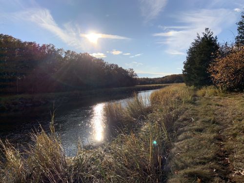 A serene river scene with sunlight reflecting on the water, surrounded by trees and tall grass under a clear blue sky.
