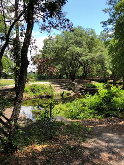 A serene landscape featuring a creek, lush greenery, and a bridge in the background under a clear blue sky.