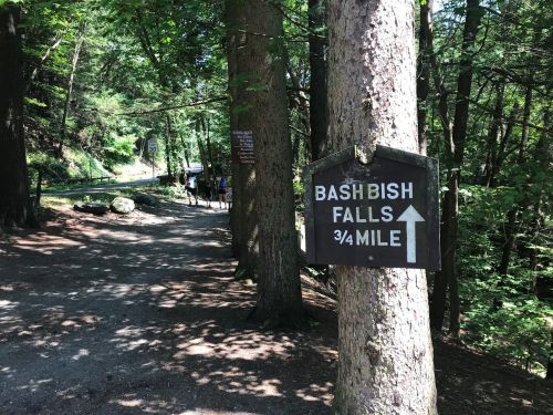 A wooden sign points to Bash Bish Falls, indicating it's ¾ mile ahead, surrounded by trees and a gravel path.
