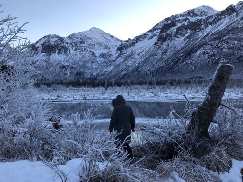 A person in a hooded jacket stands by a frozen lake, surrounded by snow-covered mountains and frosty vegetation.