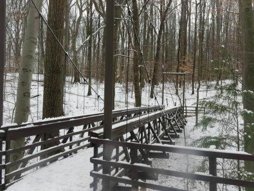 A snow-covered wooden bridge in a forest, surrounded by tall trees and a serene winter landscape.