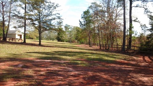 A peaceful park scene with a dirt path, trees, and a small building in the background under a clear blue sky.