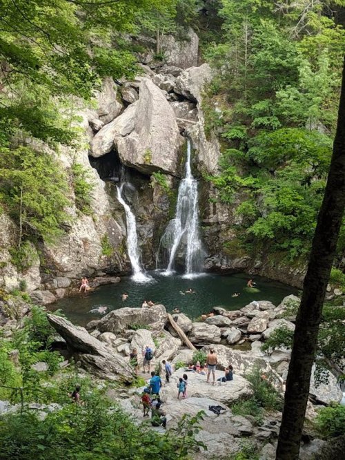 A scenic waterfall cascades into a pool surrounded by lush greenery, with people swimming and enjoying the outdoors.