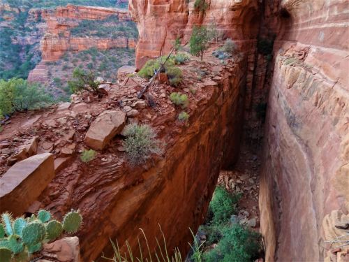 A rocky canyon landscape with red cliffs, sparse vegetation, and a narrow ledge overlooking a steep drop.