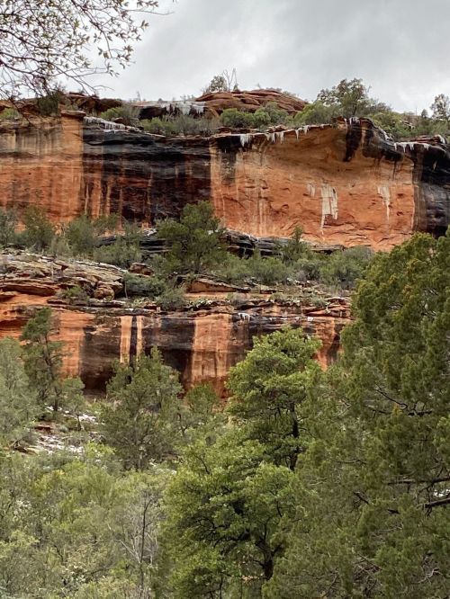 A rocky cliff with layered red and black stone, surrounded by green trees and icicles hanging from the edge.