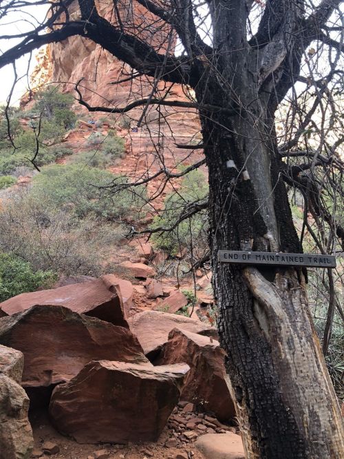 A rocky trail ends at a sign on a tree, surrounded by rugged terrain and sparse vegetation.