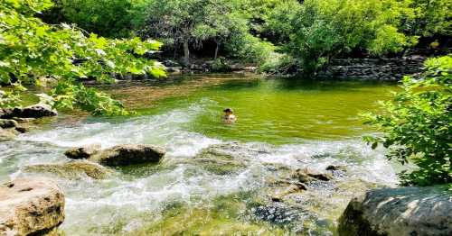 A person wades in a clear, greenish river surrounded by lush trees and rocky banks on a sunny day.