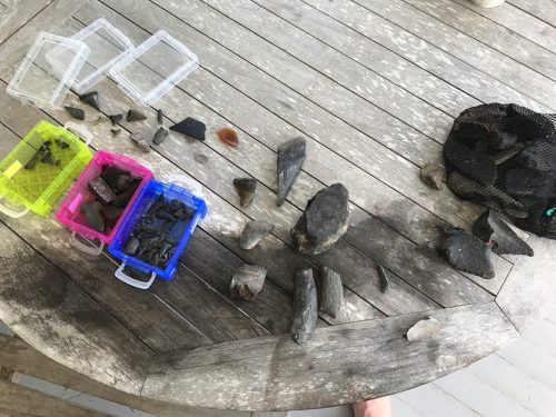 A wooden table displaying various rocks and tools in colorful containers, with a mesh bag nearby.