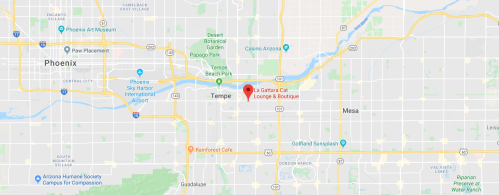 Map showing Tempe, Arizona, with a marker for La Gattara Cat Lounge & Boutique.