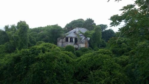 An overgrown, abandoned building surrounded by dense greenery and trees, evoking a sense of nature reclaiming the space.