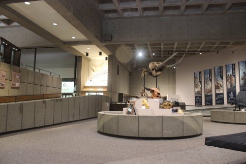 Interior of a museum featuring a circular display with fossils and exhibits, surrounded by concrete walls and modern architecture.