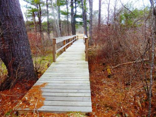 A wooden bridge leads through a wooded area, surrounded by trees and sparse underbrush.