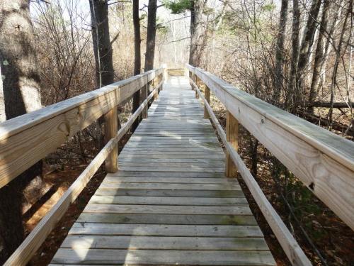 A wooden boardwalk leads through a wooded area, surrounded by trees and sparse underbrush.