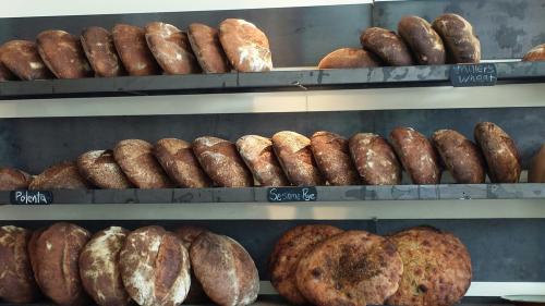 A display of various artisanal breads on shelves, including polenta, sesame rye, and miller's wheat loaves.