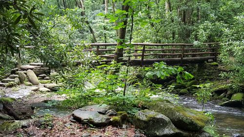 A wooden bridge spans a stream in a lush, green forest with rocks and foliage surrounding the area.