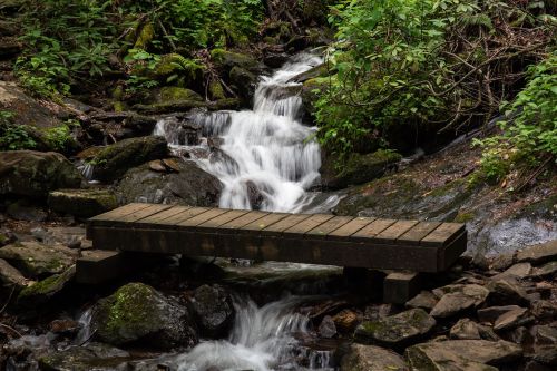 A wooden bridge spans a small stream, surrounded by lush greenery and rocky terrain. Water flows gently beneath.