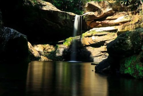 A serene waterfall cascades over rocks into a calm pool, surrounded by lush greenery in a tranquil forest setting.