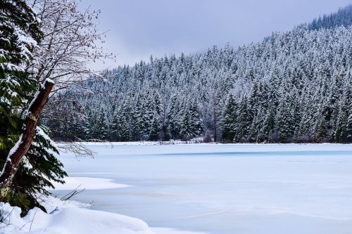 A serene winter landscape featuring a frozen lake surrounded by snow-covered trees and a cloudy sky.
