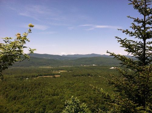 A panoramic view of lush green mountains under a clear blue sky, with trees in the foreground.