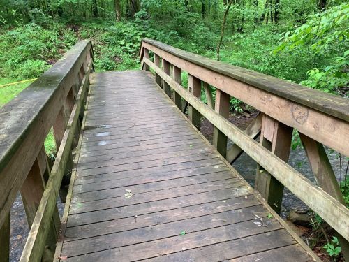 A wooden bridge spans a small stream, surrounded by lush green foliage and trees.