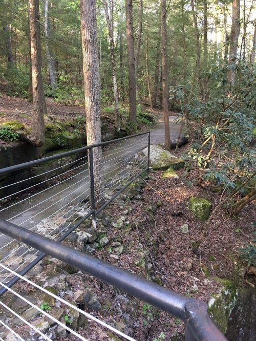 A narrow path alongside a creek, with a metal railing and trees lining the area in a forest setting.
