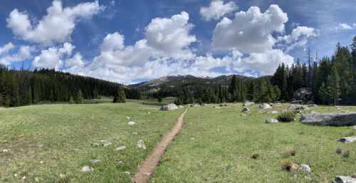 A scenic landscape featuring a grassy meadow, rocky path, and mountains under a blue sky with fluffy clouds.