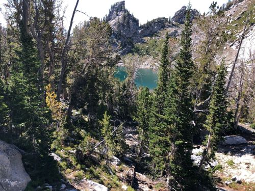 A serene mountain landscape featuring tall trees, rocky terrain, and a clear blue lake in the background.