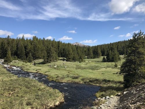 A serene landscape featuring a flowing river, lush green meadows, and pine trees under a blue sky with scattered clouds.