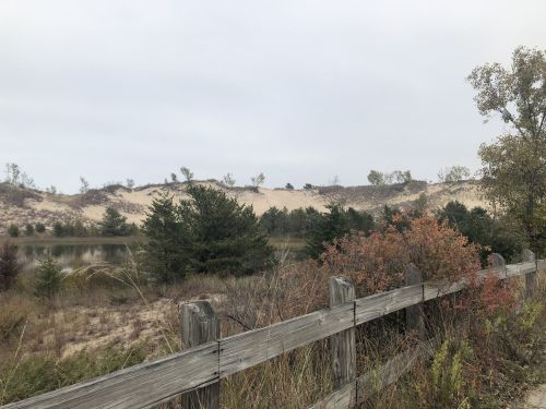 A wooden fence in the foreground with shrubs, leading to sandy dunes and a calm water body under a cloudy sky.