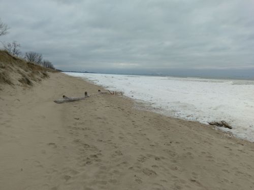 A sandy beach with a snowy shoreline under a cloudy sky, featuring driftwood and distant land.